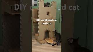 DIY cardboard cat castle 🏰😺😺 diychallenge diy mrcarrington cat [upl. by Sirtaeb602]