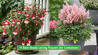 17 Best Shade Loving Flowers for Containers [upl. by Origra]