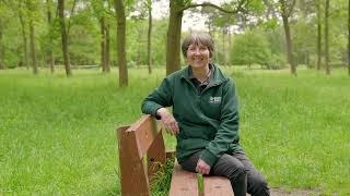 Landscape Restoration at Thorndon Country Park [upl. by Leary239]