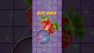 Extract DNA out of a strawberry 🍓 🧬 dna cells biology shorts [upl. by Ayian]