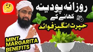 Health Benefits of MINT  PUDINA ke Fayde aur Nuksan  Soban Attari [upl. by Kendy]