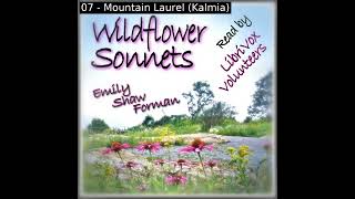 Wildflower Sonnets by Emily Shaw Forman read by Various  Full Audio Book [upl. by Baiss]