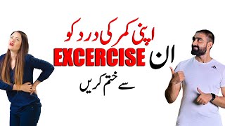 3 Best Exercises To Relieve Back Pain  Improve Your Posture  Bilal Kamoka Fitness [upl. by Rebmaed]