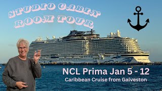 NCL PRIMA CRUISE VLOG l Studio Cabin Room tour amp Organization [upl. by Rinna]