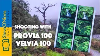 Film Photography  Comparing Provia and Velvia 100 on a Landscape Shoot [upl. by Hazen]