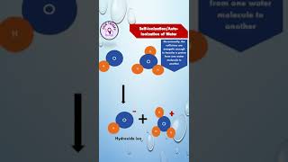 Self ionization of Water  YouTube shorts chemistry education [upl. by Ethelin]