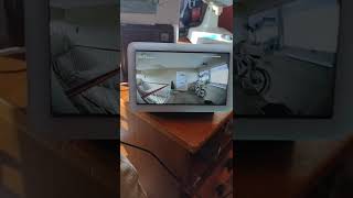 Eufy Doorbell Camera Viewed On Google Nest Hub [upl. by Osugi]