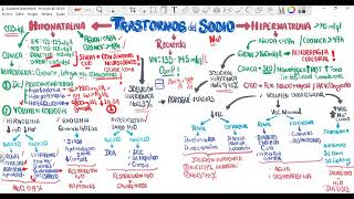 Trastornos del Sodio Hiponatremia e Hipernatremia [upl. by Cl]