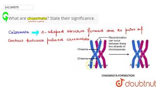 What are chiasmata State their significance  11  CELL CYCLE AND CELL DIVISION  BIOLOGY  P [upl. by Anelegna]