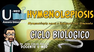 ✔CICLO BIOLOGICO DE LA HIMENOLEPIOSIS🐀 [upl. by Florie]