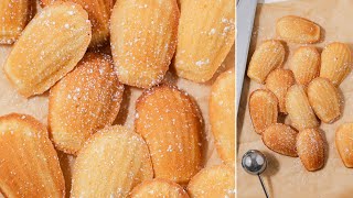 Madeleines [upl. by Morrill]