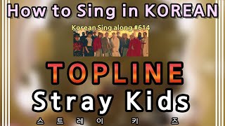 Sing along Korean TOPLINE – Stray Kids 스트레이 키즈 tutorialeasy lyricspronounceromhan [upl. by Anima222]