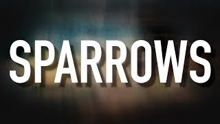 Sparrows  Lyric Video Jason Gray [upl. by Rider]