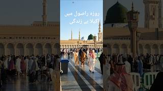 Main Akeila Or Zundgi trendingshorts viralvideo madina [upl. by Noble746]