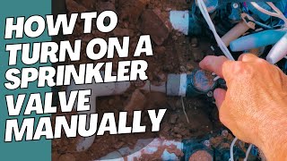 How To Turn On A Sprinkler Valve Manually  Rain Bird PGA Valve [upl. by Si]