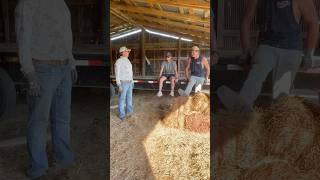 Hauling hay farming haybale workfromhome workout [upl. by Longmire]