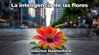 Prologo  La inteligencia de las flores  Maurice Maeterlinck  Audiolibro [upl. by Yemirej530]