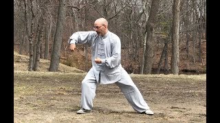 Marin Spivack Chen Shi Taijiquan Gongfu Jia Workshop Poole UK 2 Upcoming 陈氏太极拳 [upl. by Macpherson]