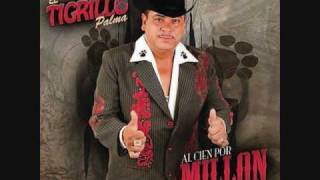 tigrillo palma a todo sinaloa [upl. by Jaye]