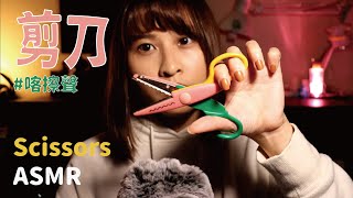 【ASMR台灣】剪刀ASMR｜ASMR Scissors Sounds [upl. by Ahsieket]