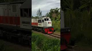 KA Blambangan Ekspres KetapangPasarsenen 1 November 2024 keretaapi railfansindonesia railfans [upl. by Haily460]