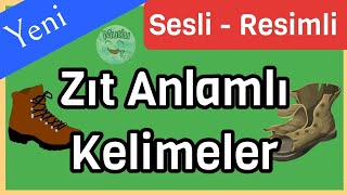 Zıt Anlamlı Kelimeler  Zıt Kelimeler  Zıt Anlamlı Kelimeler 2 Sınıf  1 Sınıf Zıt Kelimeler [upl. by Harrington828]