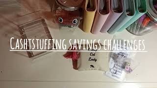 budget with me savings challenges vullen en 1 challenge afmaken☺️ [upl. by Diva]