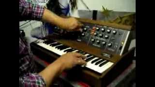 Moog Minimoog synth demo solo from Adriano Ancona tutorial demonstration test prova [upl. by Atinoj]