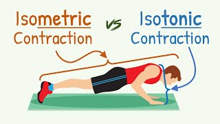 Isometric Contraction vs Isotonic Contraction  Physiology with Animation [upl. by Notnef994]