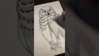 Working progress sketch artistart sketchbookartworkdrawlovedrawing youtubeshortsshortsowl [upl. by Lannie]