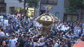 令和元年 品川区大井＜鹿嶋神社＞例大祭【迫力】宮本町会神輿＝還御（鳥居前）着與 [upl. by Nana467]