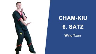 6 Satz ChamKiu zweite WT Form lernen mit Sifu Sergej [upl. by Janifer]