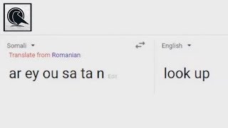 Google Translate  Vreemde Antwoorden [upl. by Rehsa146]