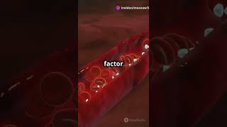 Blood groupfacts BrainHealthviralshorts Kurzgesagt WomensHealth fypシ゚viral ViralShorts [upl. by Mahda]