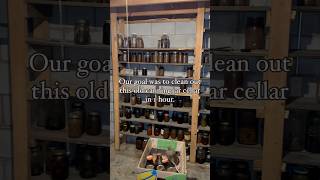 Removing 150 canning jars full of soiled food junkremoval cleaning asmr beforeandafter [upl. by Lu425]