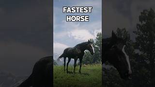 999 Doesnt know this  FASTEST Horse RDR2 [upl. by Aneerb924]