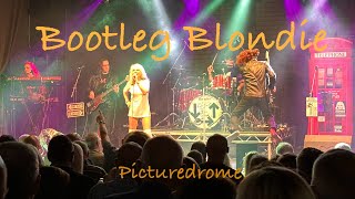 Bootleg Blondie Holmfirth Picturedrome 18th November 2023 [upl. by Irallih30]