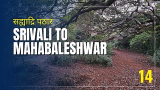 Shrivali to Mahabaleshwar Sahyadri Plateaus  Ep 14 [upl. by Yenittirb537]