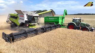 Getreideernte 2023 Gerste dreschen Mähdrescher CLAAS Traktor FENDT Lohnunternehmer Landwirtschaft 4 [upl. by Aicila]