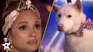 Dog Magic Act Makes Judges CRY on Britains Got Talent [upl. by Lateehs]