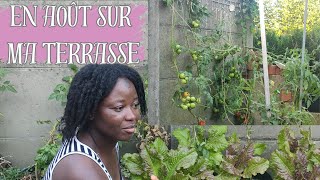 TOUR DE MA TERRASSE DE BELLES RECOLTES A VENIR pour ce mois daoût potager jardin tomates [upl. by Thaxter]