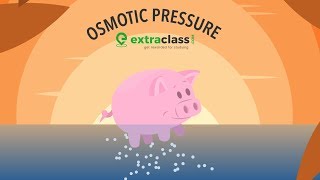 What is Osmotic Pressure  Extraclasscom [upl. by Eliza176]