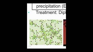 Gram Positive Bacilli NonSpore formingCdiphtheriae amp Listeria Monocytogenes [upl. by Landrum658]