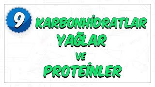 9 Sınıf Biyoloji  Enerji Veren Organik Bileşikler  Karbonhidratlar Yağlar Proteinler [upl. by Niak]