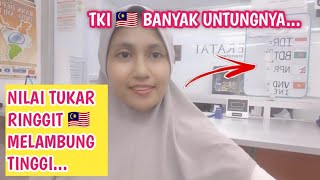 🇮🇩🇲🇾 TKI DI MALAYSIA JADI MAKIN SEMANGAT KERJANYA⁉️ GIMANA TIDAK RINGGIT MELAMBUNG TINGGI [upl. by Taam]