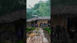 Village rain videos shorts youtubeshorts [upl. by Llenyr874]