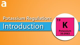 Potassium Regulation Introduction [upl. by Bohlen]