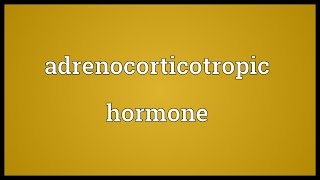 Adrenocorticotropic hormone Meaning [upl. by Arag443]