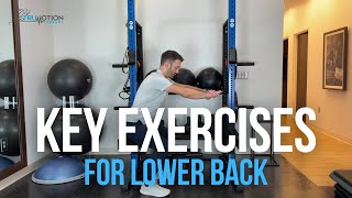 Key Exercises for Lower Back  TruMotion Therapy [upl. by Nomyar]