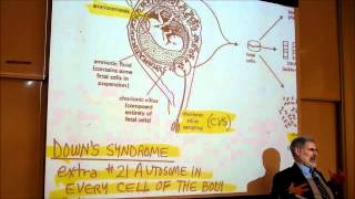 BIOLOGY CHROMOSOME ANOMALIES amp GENETIC DISEASES by Professor Finkwmv [upl. by Avivah692]